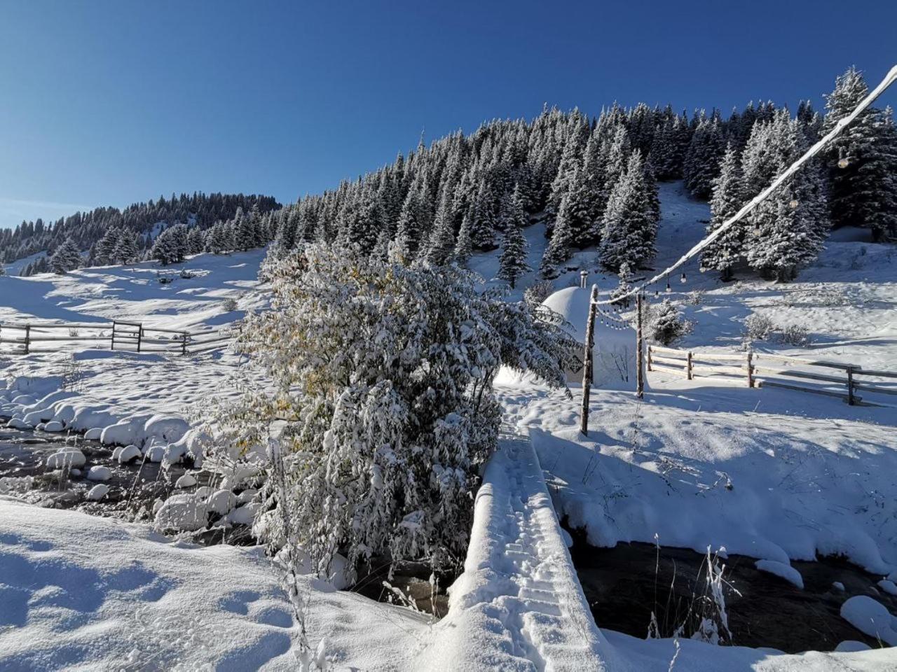 Mine Hostel Dzhergalan Jyrgalan Kültér fotó