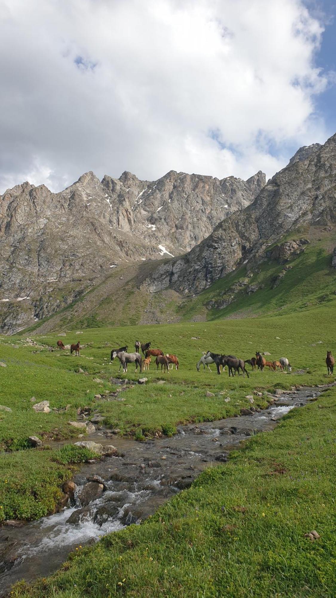 Mine Hostel Dzhergalan Jyrgalan Kültér fotó